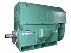 YJTFKK4502-6-355KWY系列6KV高压电机